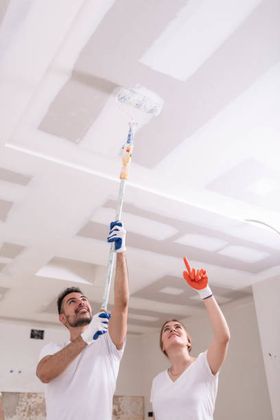 Best Mold Removal for HVAC Installations  in Shinnston, WV