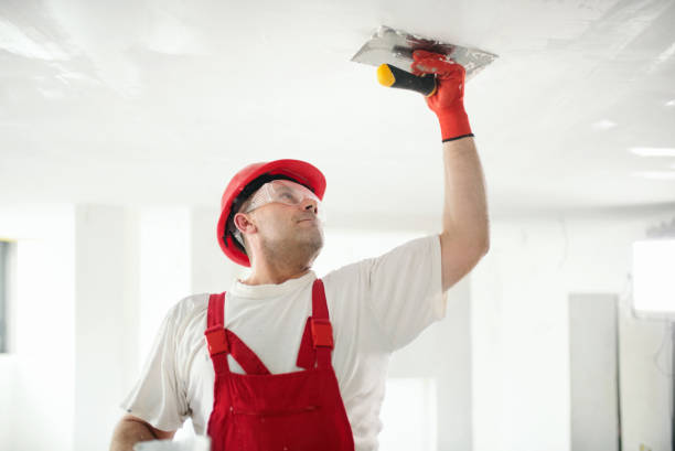 Reliable Shinnston, WV Mold Removal Solutions