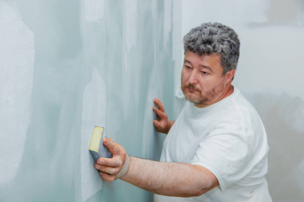 Best Mold Prevention Services  in Shinnston, WV